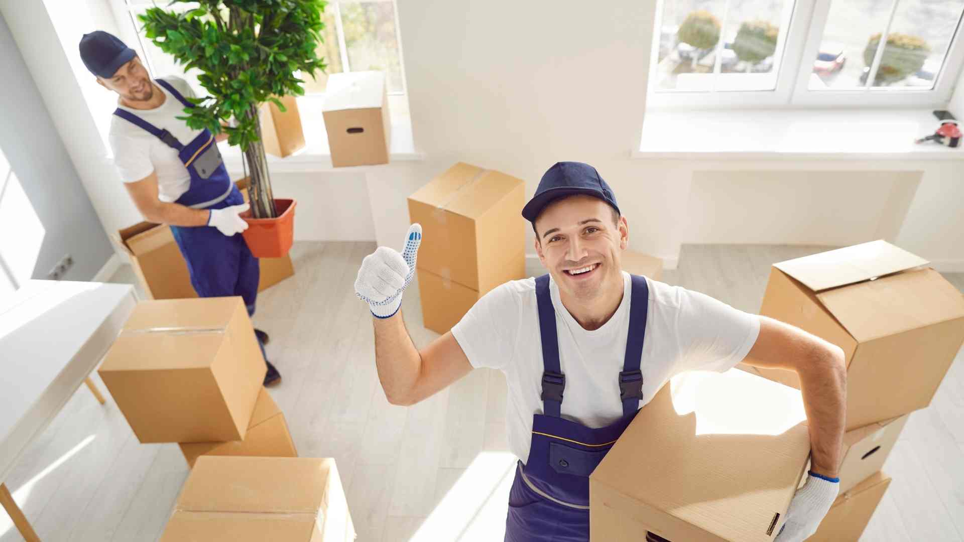 moving day