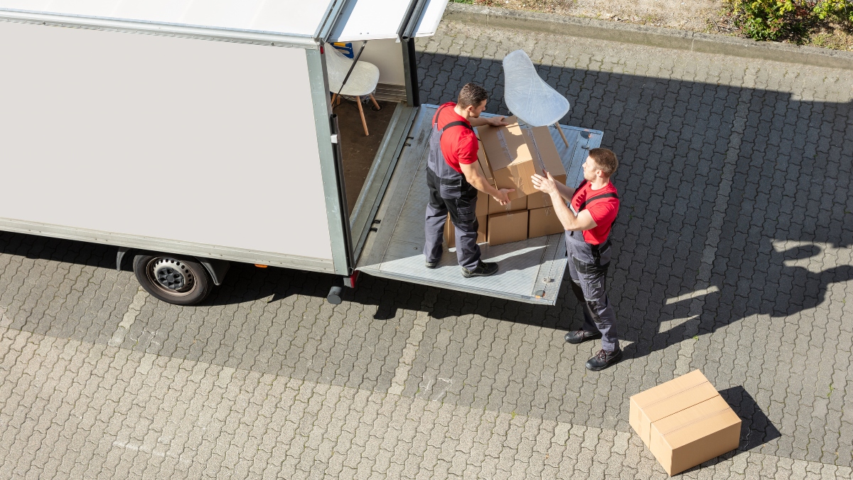 two movers loading cardboard boxes and a chair